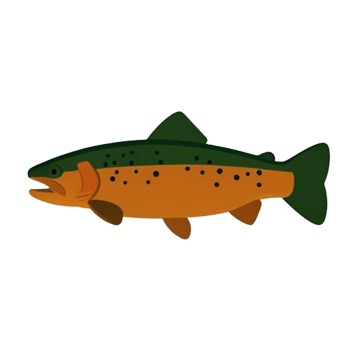 Brown trout